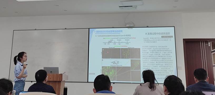 44118太阳成tyc城集团