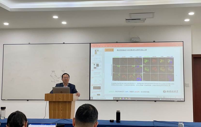 44118太阳成tyc城集团