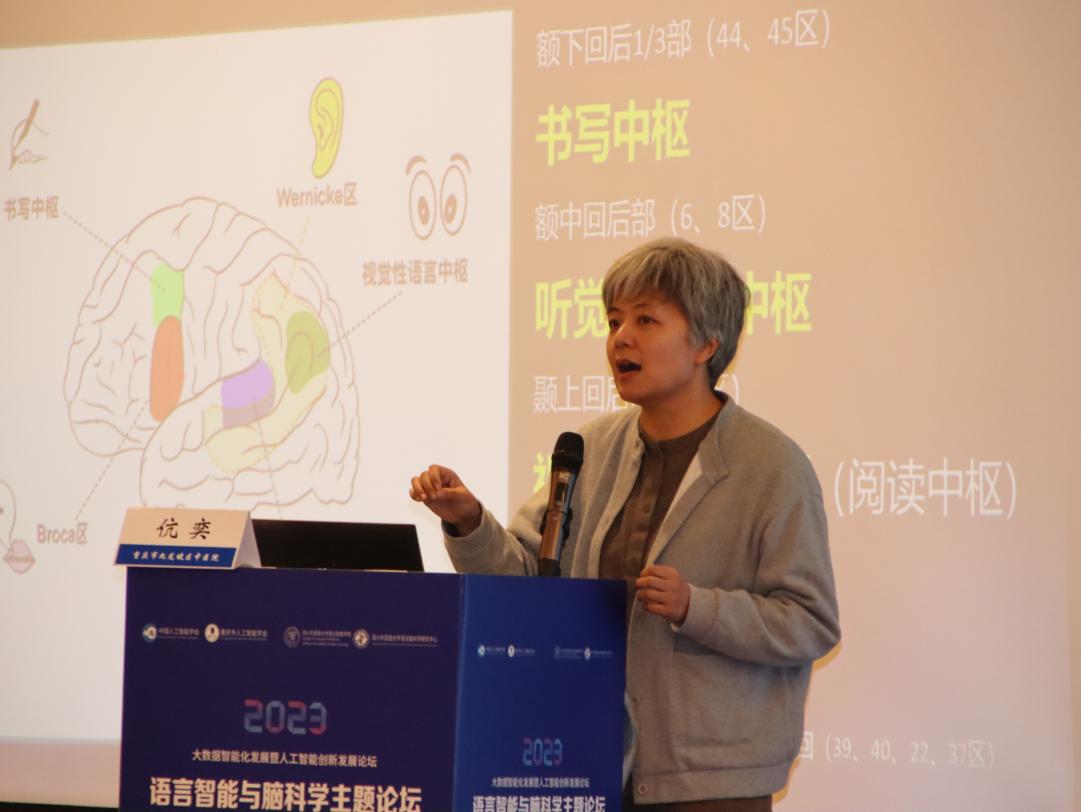 44118太阳成tyc城集团