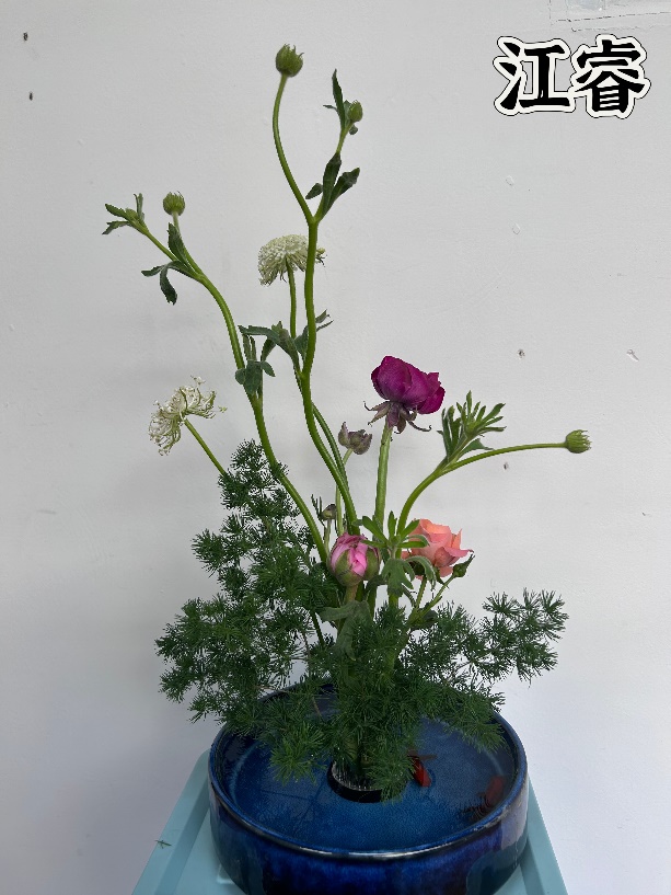 44118太阳成tyc城集团