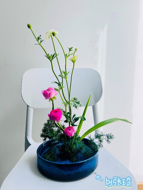 44118太阳成tyc城集团