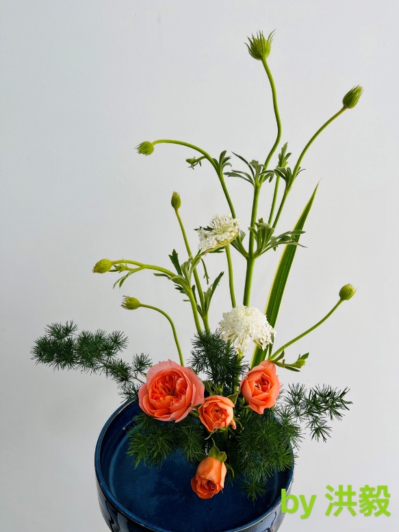 44118太阳成tyc城集团