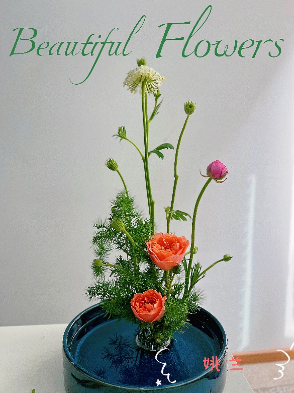 44118太阳成tyc城集团