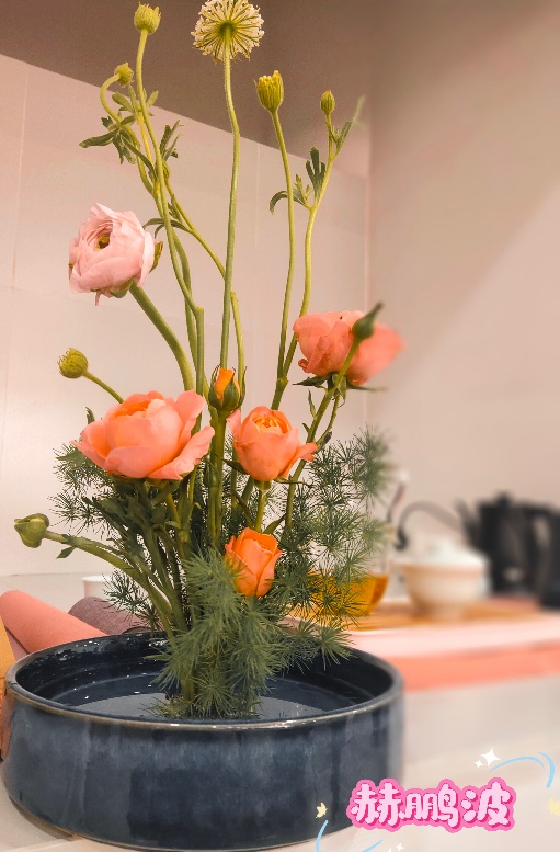 44118太阳成tyc城集团