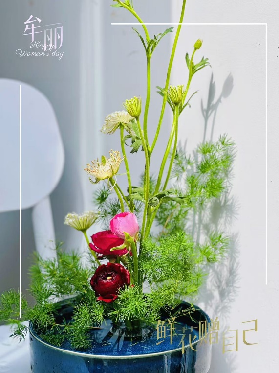 44118太阳成tyc城集团