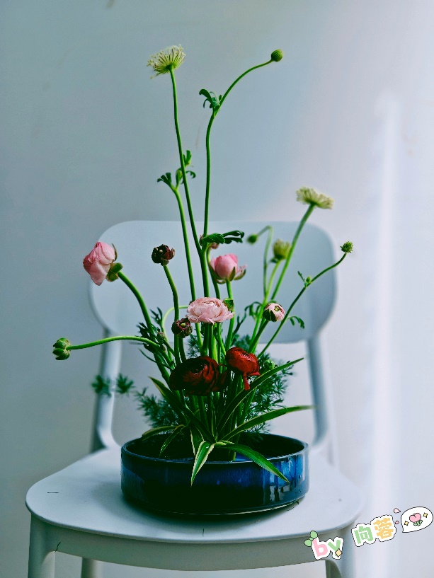 44118太阳成tyc城集团