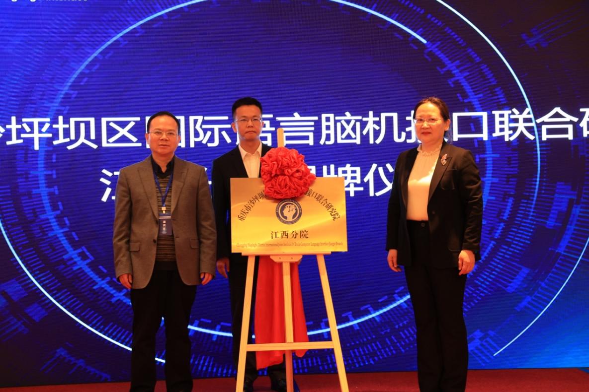 44118太阳成tyc城集团