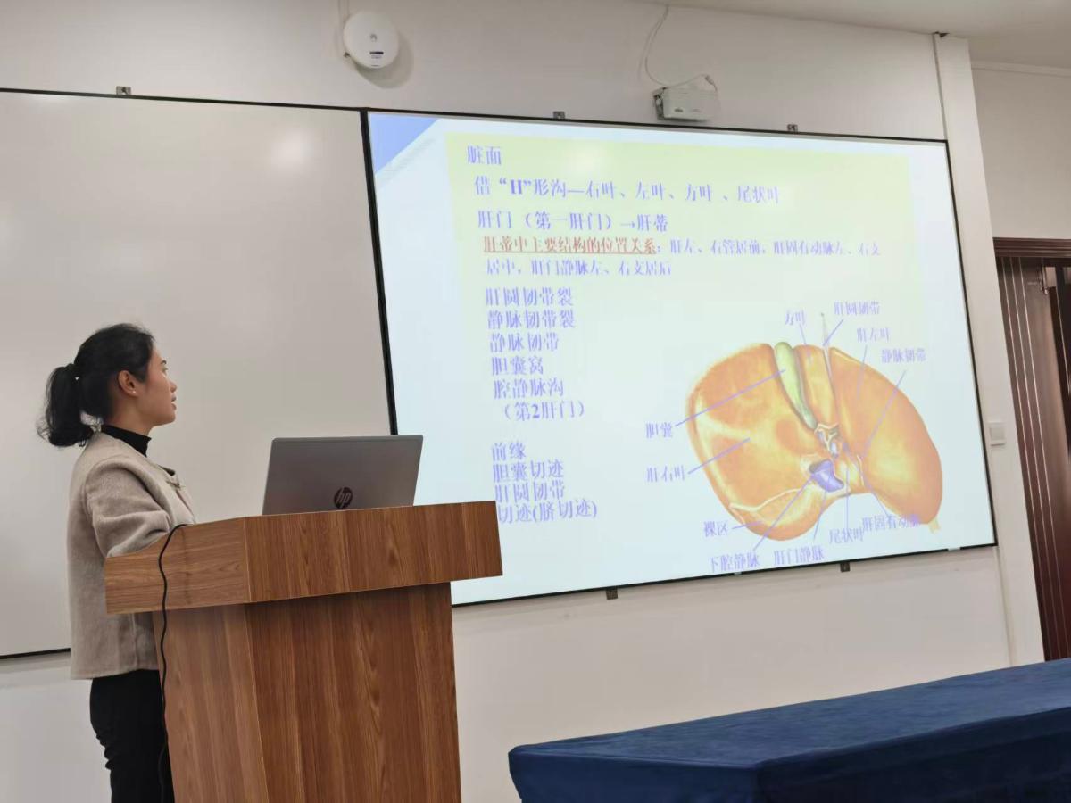 44118太阳成tyc城集团